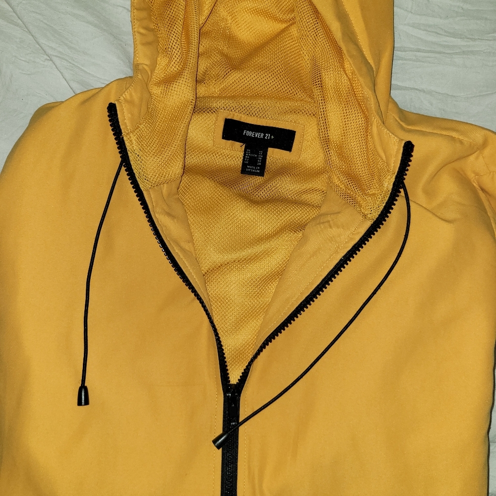 Yellow jacket - Picture 2 of 6